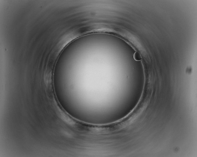 X0000101661281200807101246