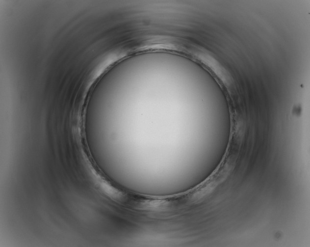 X0000101661282200807101246