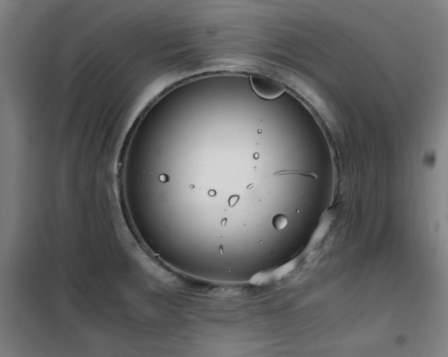 X0000101661283200807101246