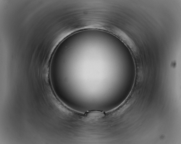 X0000101661284200807101246
