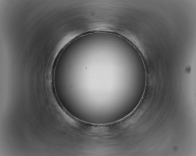 X0000101661285200807101246