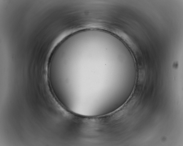 X0000101661286200807101246