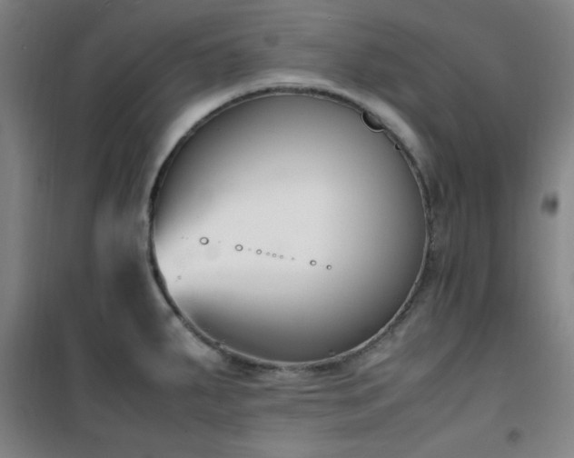 X0000101661287200807101246