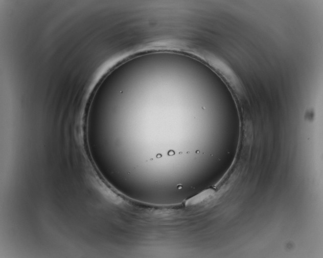X0000101661288200807101246