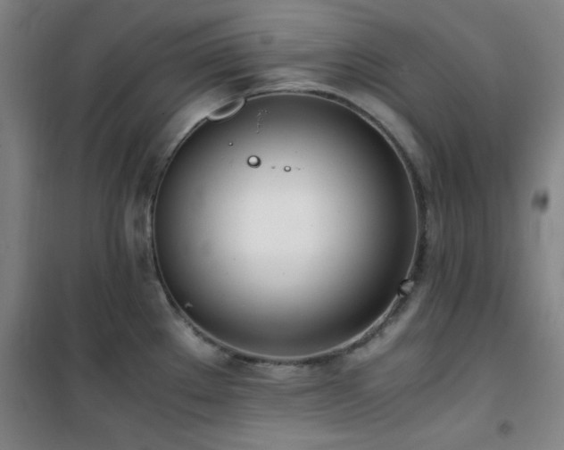 X0000101661289200807101246
