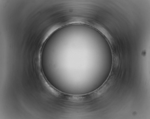 X0000101661290200807101246