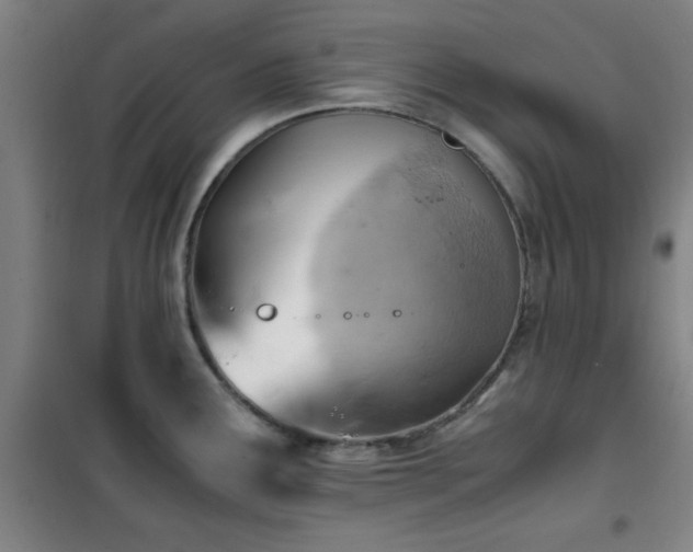 X0000101661291200807101246