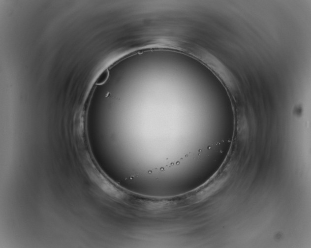 X0000101661292200807101246
