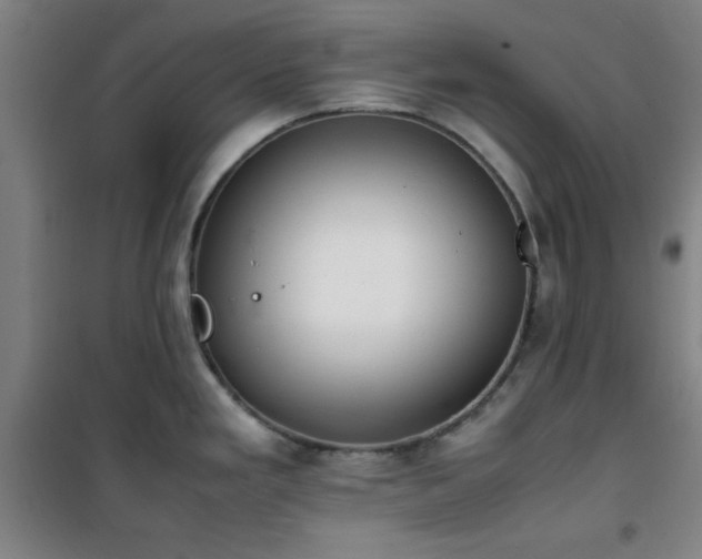 X0000101661293200807101246