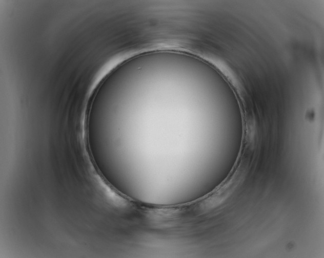 X0000101661294200807101246