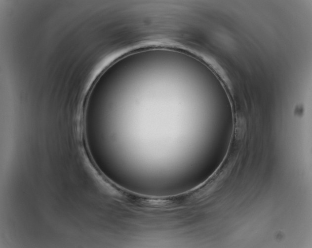 X0000101661295200807101246