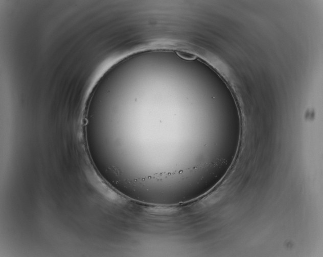 X0000101661296200807101246