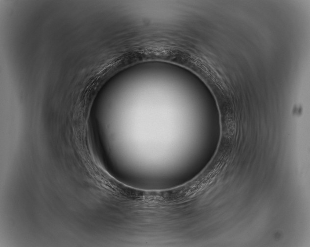 X0000101661297200807101245