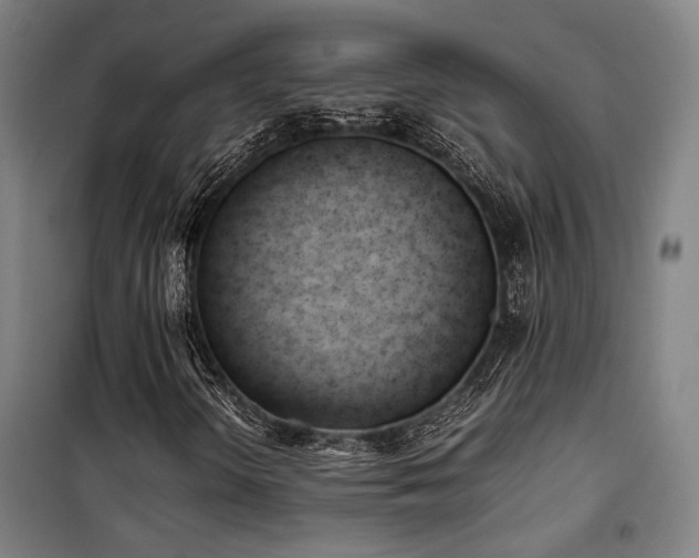 X0000101661298200807101245