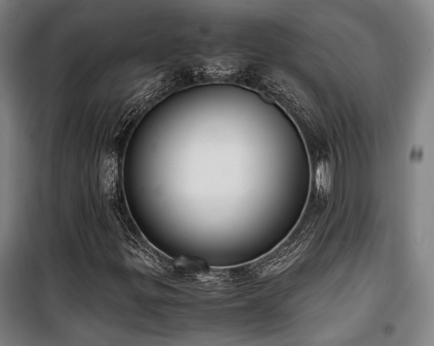 X0000101661299200807101245