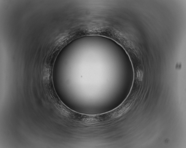 X0000101661300200807101245