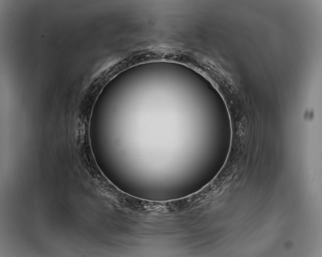 X0000101661302200807101245