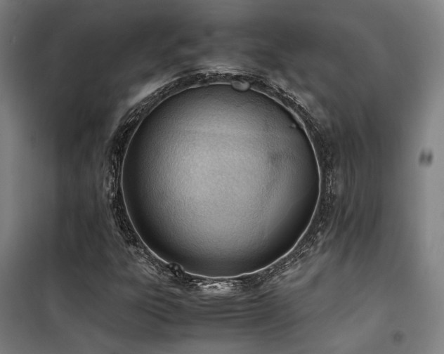X0000101661303200807101245