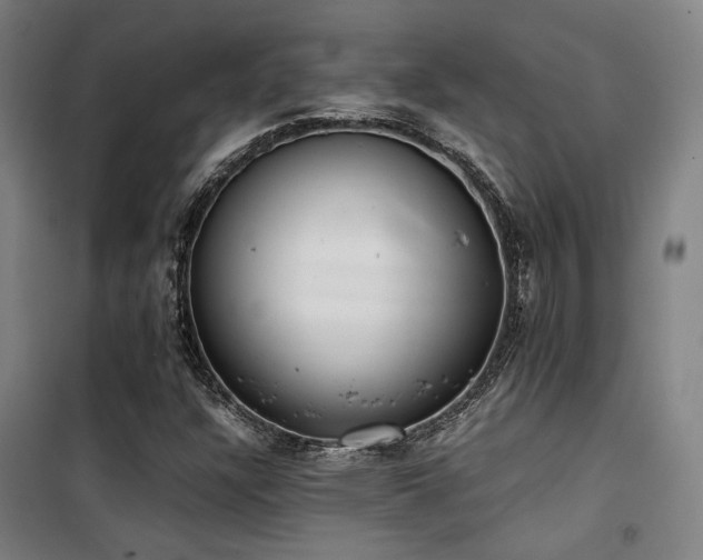 X0000101661304200807101245