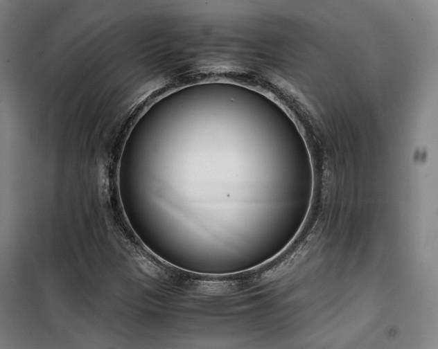 X0000101661305200807101245