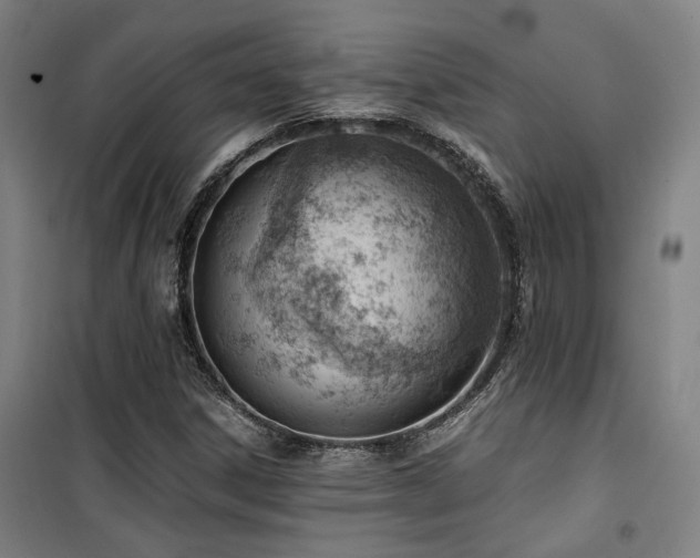 X0000101661306200807101245