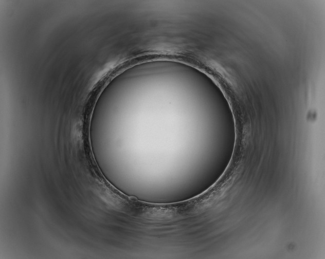 X0000101661307200807101245