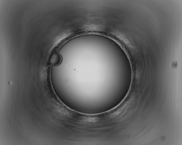 X0000101661309200807101245