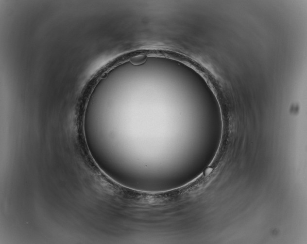 X0000101661311200807101245