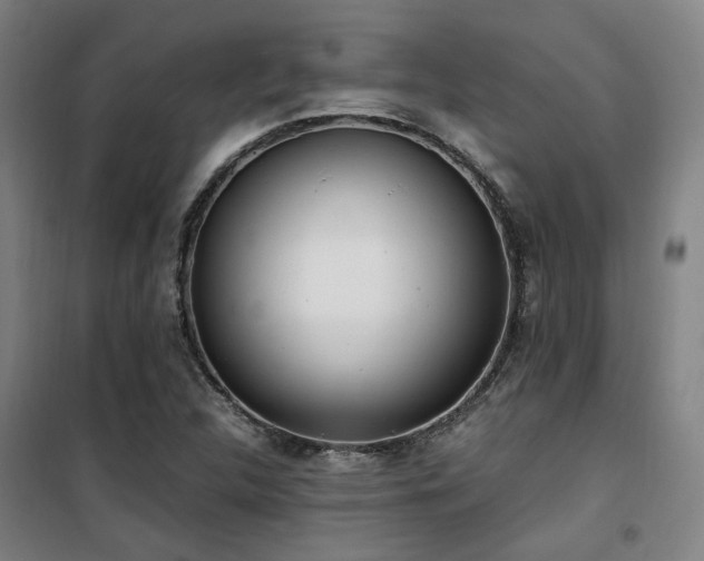 X0000101661312200807101245