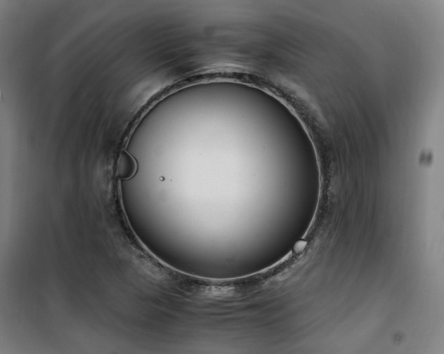 X0000101661313200807101245