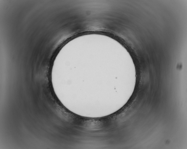 X0000101661314200807101245