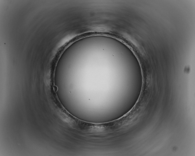 X0000101661315200807101245