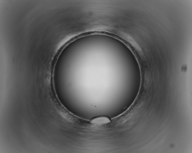 X0000101661316200807101245