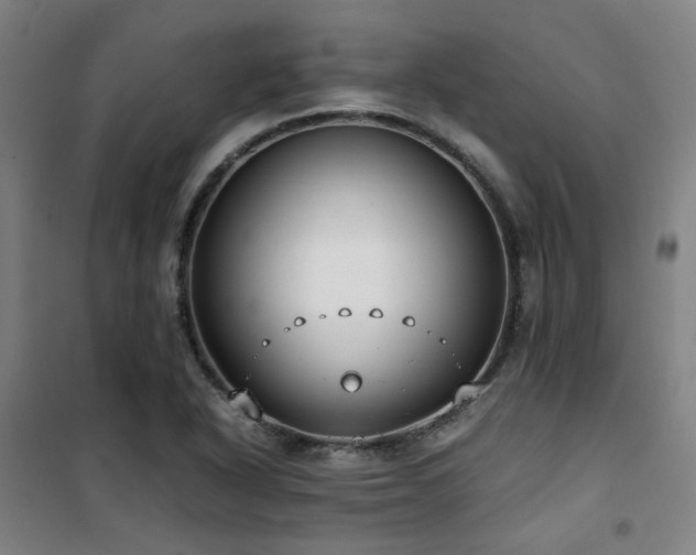 X0000101661318200807101245