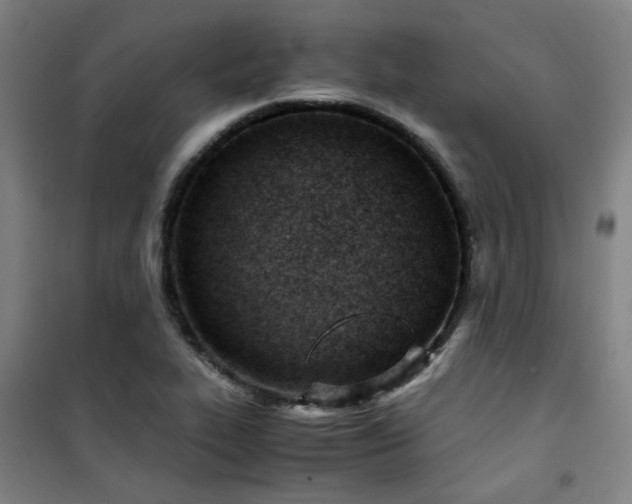 X0000101661319200807101245