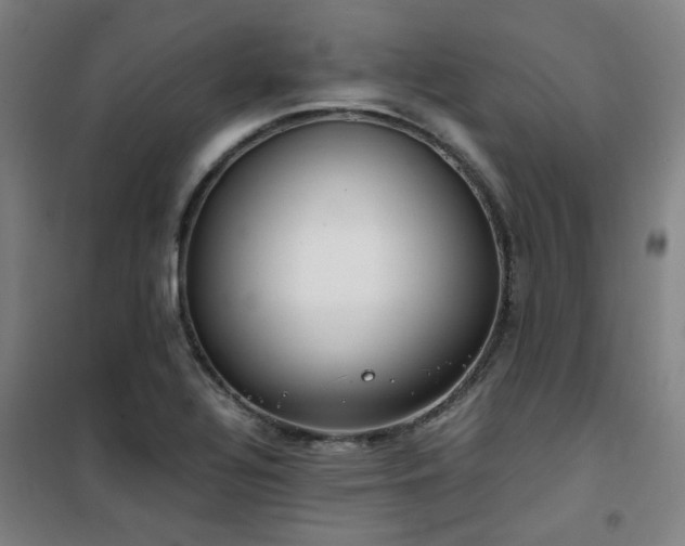 X0000101661320200807101245