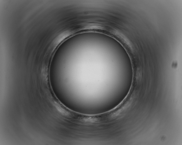 X0000101661321200807101245