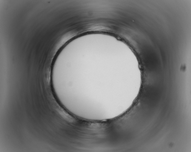 X0000101661322200807101245