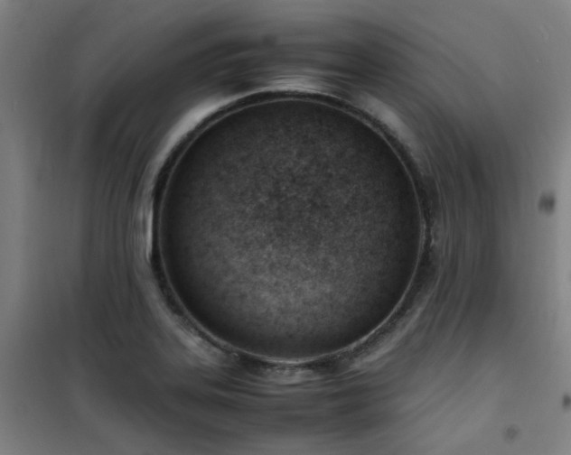 X0000101661323200807101245