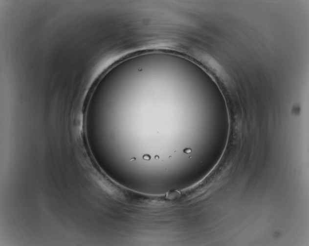 X0000101661324200807101245