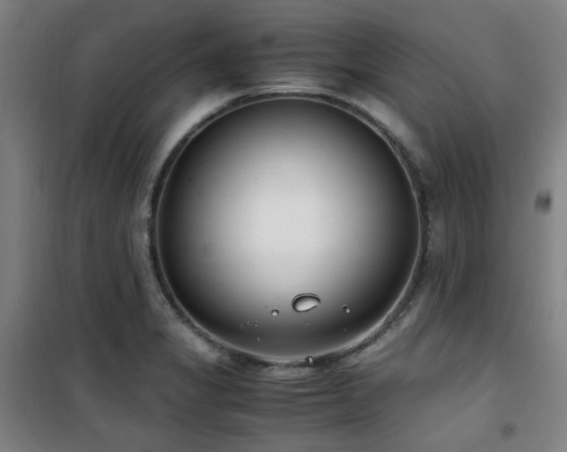 X0000101661325200807101245