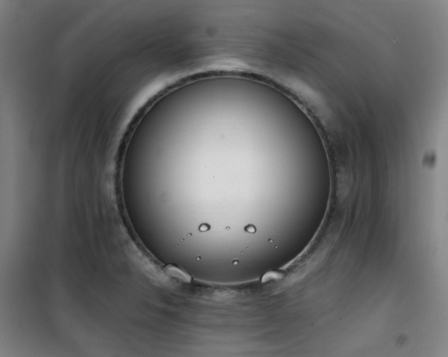 X0000101661326200807101245