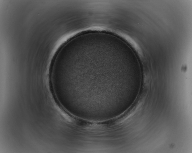 X0000101661327200807101245