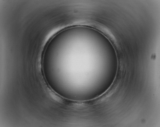 X0000101661328200807101245