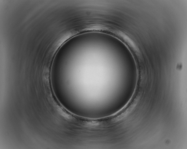 X0000101661329200807101245