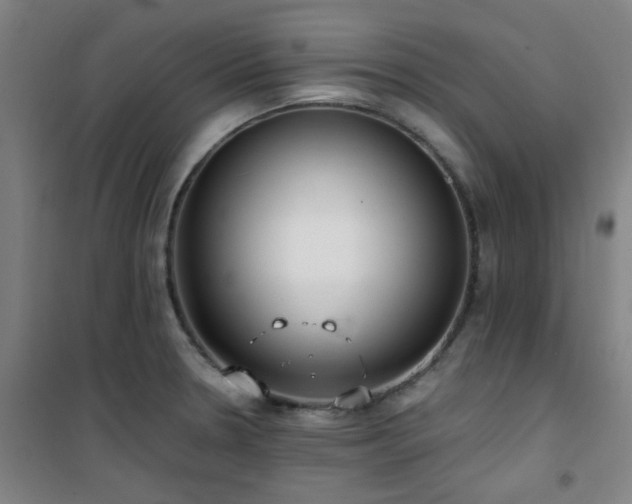 X0000101661330200807101245
