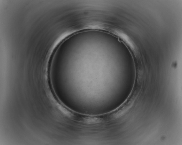 X0000101661331200807101245