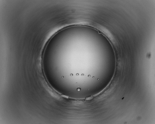 X0000101661332200807101245