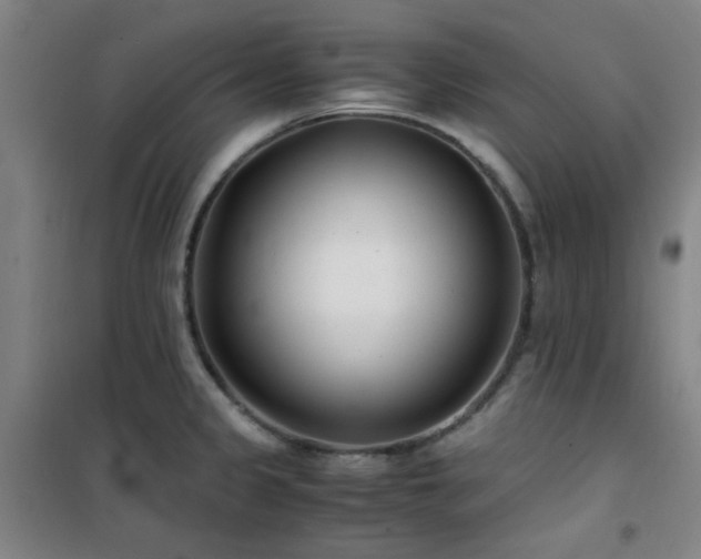 X0000101661333200807101245