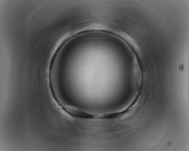 X0000101661334200807101245